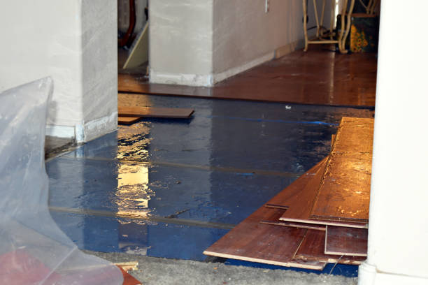 Professional Water Damage technician working in Caroline, WI